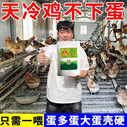 Special eggs for chickens to lay eggs, Duoduo Bao, eggs for chickens, ducks and geese to increase production, feed for chickens to eat if they don’t lay eggs, what to do, five bags