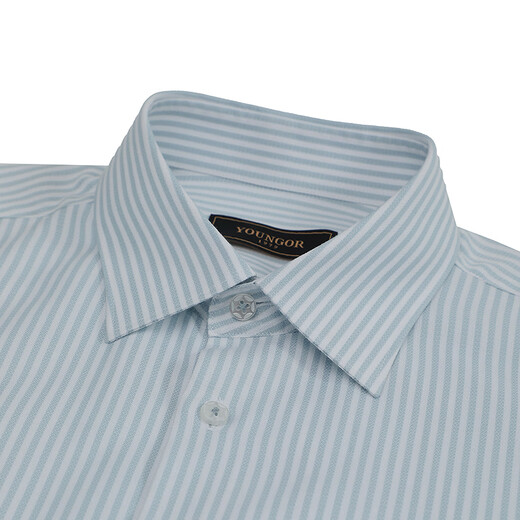 YOUNGOR shirt men's spring and summer young men's long-sleeved shirt cotton blended striped shirt comfortable and crisp 2026 shopping mall same style Lake blue striped YLXD110938GBY 38 (170/84Y)