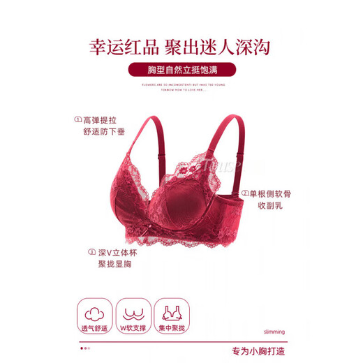 ESSONIO Zodiac Year Red Underwear Set Women's Breast Push-Up Panties Bra 2026 Year of the Horse Wedding Bride Flat Chest Special Burgundy-Set 70A/32A Push-up Shows Bigger Size