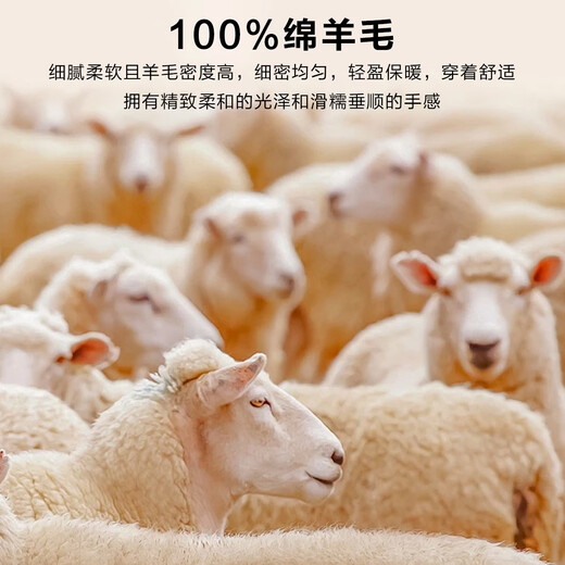 Bosssunwen machine washable spring recommended business casual soft skin-friendly exquisite high frequency men's wool sweater light gray L