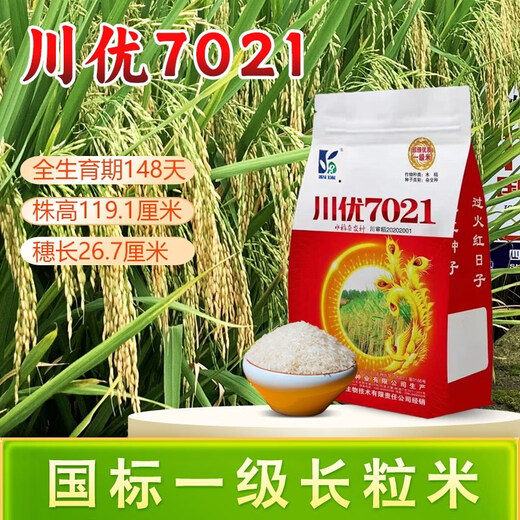 Long-grain fragrant rice Chuanyou 7021 rice seed national standard first-grade fragrant rice has a soft taste but not glutinous and chewy Chuanyou 7021 500g/bag 2 bags