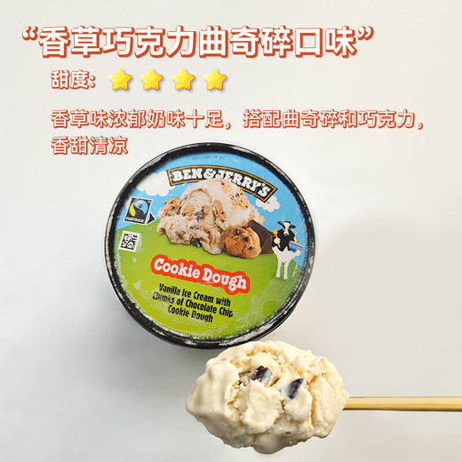 BEN & JERRY S United States Ben & Jerry's Ice Cream Vanilla Cookie Chocolate Vat Ice Cream 465ml Family Size Ice Cream