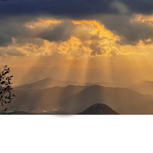 Yusenyi Cookie Kitchen 6 non-cake sticky three-flower donut learning noodle mold bread small baking mold oven with golden home WK9226 three-flower type 6 cups WK9226 three-flower type 6 cups 9226g