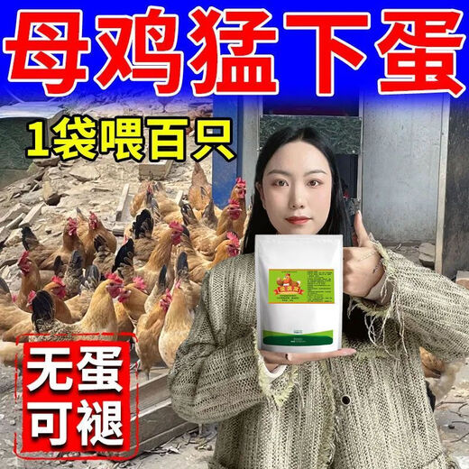 Special eggs for chickens to lay eggs, Duoduo Bao, eggs for chickens, ducks and geese to increase production, feed for chickens to eat if they don’t lay eggs, what to do, five bags