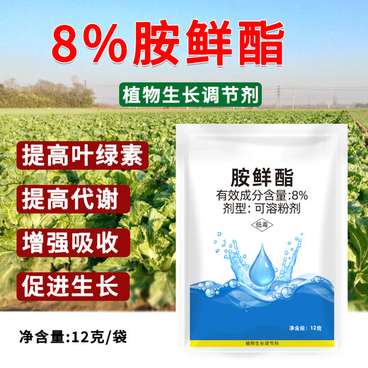 Runtian Baihu Official Genuine 8% Acetate Genuine Plant Growth Regulator Promotes Growth National Standard Wholesale 8% Acetate 12g*50 Bags
