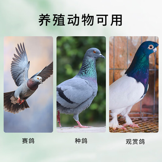 Mineral Trace Elements for Pigeons, Racing Pigeons, Breeding Pigeons, Ornamental Pigeon Breeding, 1 Bottle of Mineral-V9 (Free Small Spoon)