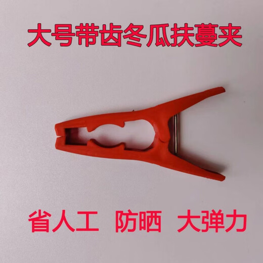 Special clip for hanging winter melon, large vine support, wholesale mangosteen, tomato, cucumber, vine support, tying branches and fixed vine clip, large red clip 100 pieces
