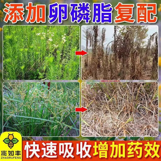 Zhaorufeng extended penetration agent containing lecithin additive plant extract to improve drug efficacy spraying additive soft lecithin additive 100g * 1 bottle bottle