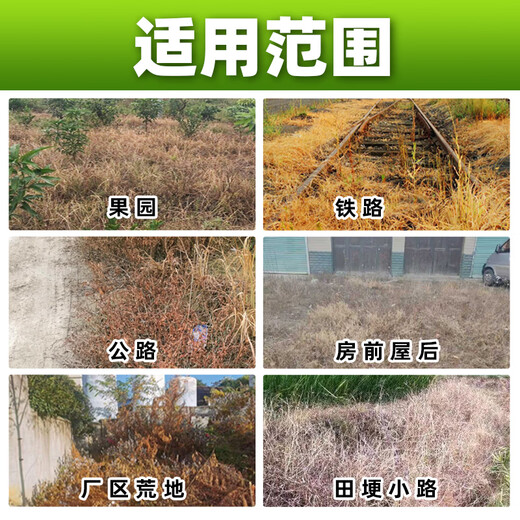 Barometer 75% cyclazinone herbicide, weed killer and dead tree agent, special medicine for big tree root rot, genuine herbicide 50g*3 bags, dosage for one tree