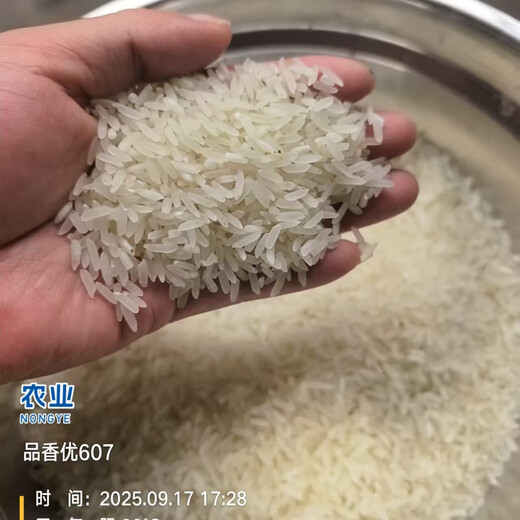 Семена риса Pinxiangyou 607 — это высокоурожайные семена риса с хорошим вкусом. 1 Джин Джин равен 0,5 кг * 1 упаковка.