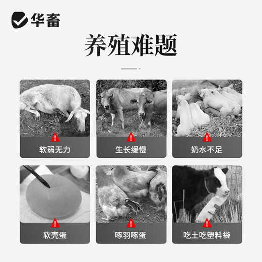 Hua livestock calcium, phosphorus and eighteen tonic trace elements for veterinary use, electrolytic multi-dimensional pigs, cattle and sheep eat soil to peck feathers, chickens, ducks and poultry to strengthen bones and promote growth. 3 barrels, get 10Jin. Jin is equal to 0.5kg. Hawthorn powder is super suitable.