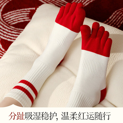 Zhenxing footwear (ZJZUE) five-finger socks for women, cotton, animal year, cotton, women's autumn and winter, bright red, new year socks, finger length simple socks, striped parallel bars + different colors on the head and heels + full body stripes, SF gift box, one size fits all, 100 cotton animal year hair gift box