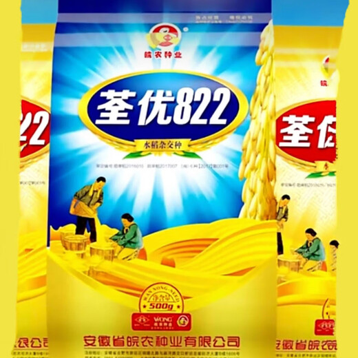 Quanyou 822 original hybrid high-yield rice seed rice disease-resistant medium rice hybrid seed high yield Quanyou 822 original one Jin Jin is equal to 0.5 kg