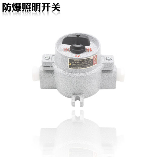 Explosion-proof lighting switch SW-10/220V380V explosion-proof control switch thickened transfer switch IIBIIC SF air freight