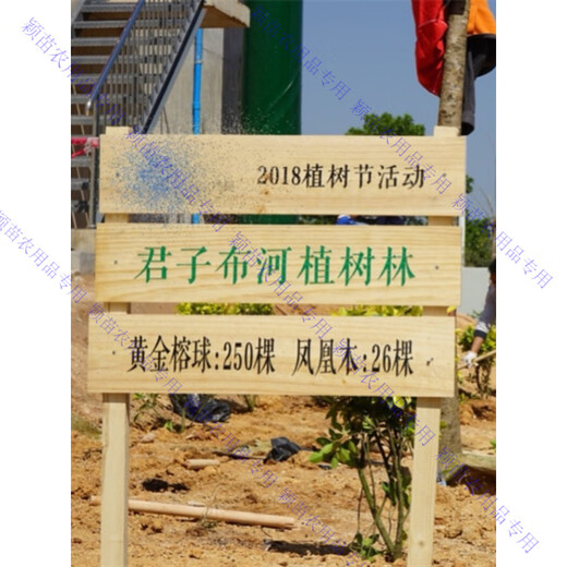 Customized wooden brand park vegetable garden vegetable field wooden grass planting area sign vertical ground sign to care for flowers and plants 1 model 30*20CM