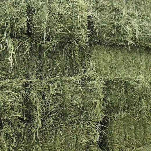 Alfalfa hay for cattle, sheep and horses, sheep grass, alpaca large zoo feed, alfalfa 100kg