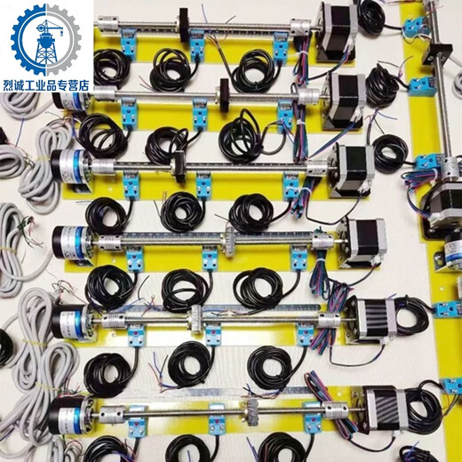 Customized stepper motor learning positioning control PLC screw slide kit with encoder driver close to open Type A-with encoder and driver