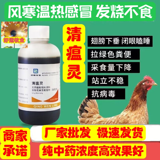 Qingwenling, wind-cold, wind-heat, cold, withered wings, drooping eyes, drowsiness, no food, cold and fever