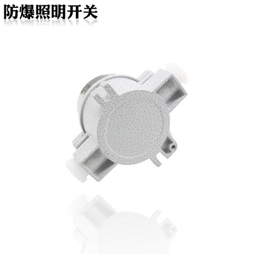 Explosion-proof lighting switch SW-10/220V380V explosion-proof control switch thickened transfer switch IIBIIC SF air freight