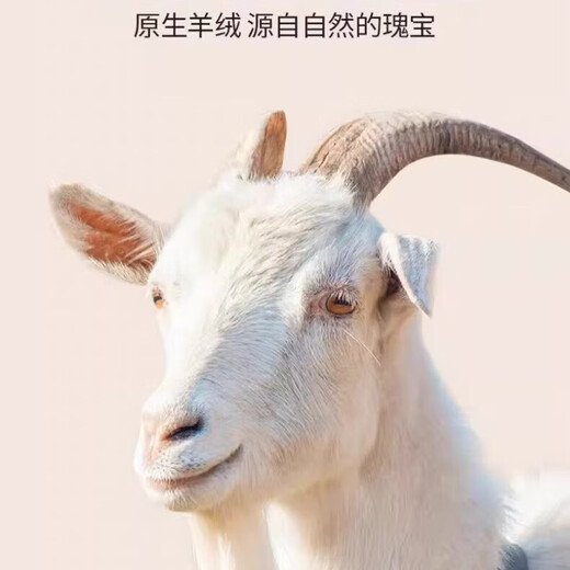 EGW international luxury brand 100% pure cashmere men's winter warm thickened scarf birthday festival fashion gift box dark gray gift box