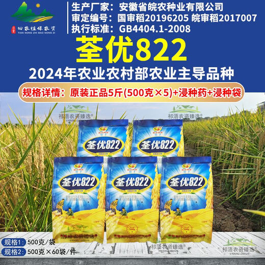 Wangyuan Xingquanyou 822 высокоурожайный и стабильный гибридный рис, устойчивый к полеганию, высокой температуре, твердый и устойчивый к удобрениям, высококачественный суперрис оптом Quanyou 822 5Jin Jin, равный 0,5 кг + средство для замачивания семян + мешок для замачивания семян