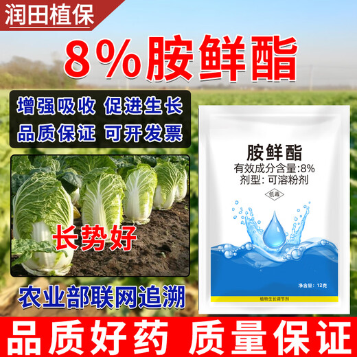Runtian Baihu Official Genuine 8% Acetate Genuine Plant Growth Regulator Promotes Growth National Standard Wholesale 8% Acetate 12g*50 Bags