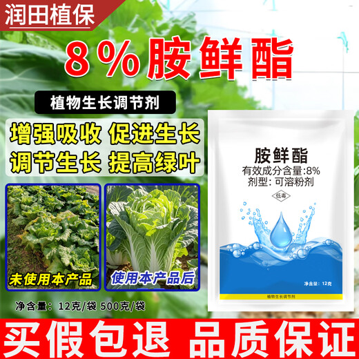 Runtian Baihu Official Genuine 8% Acetate Genuine Plant Growth Regulator Promotes Growth National Standard Wholesale 8% Acetate 12g*50 Bags