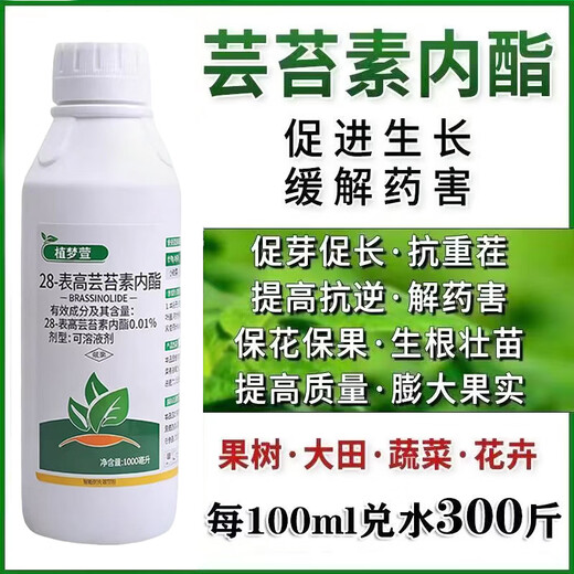 Genuine 28 epibrassinoids, internal lipids, rooting and strengthening seedlings, plants to regulate growth and increase yields, foliar fertilizers, pesticides, whole box wholesale, brassinoids 1000g