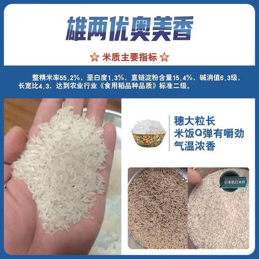 Asarum Laozhang, Xiongliangyouaomeixiang, ароматный рис высокого качества, большие початки, стабильная урожайность, устойчивость к полеганию, сильный аромат, крупный рис. 5ЦзиньЦзин равен 0,5 килограмма.
