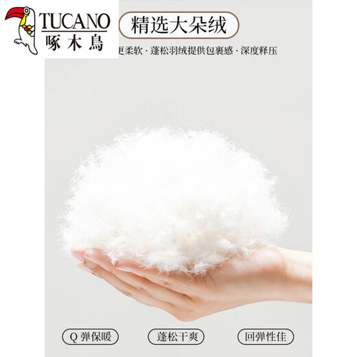 Woodpecker (TUCANO) Official 2026 New Down Pants Women's Outerwear Plus Velvet Thickened Cotton Pants Coldproof Loose Straight Casual Overalls Black White Duck Down Filling丨Warm and Comfortable 7588 L