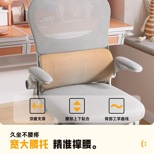 青少年学习椅人体工学电脑椅儿童中学生专用书桌写字椅家用办公椅 688-永定腿-白框灰网