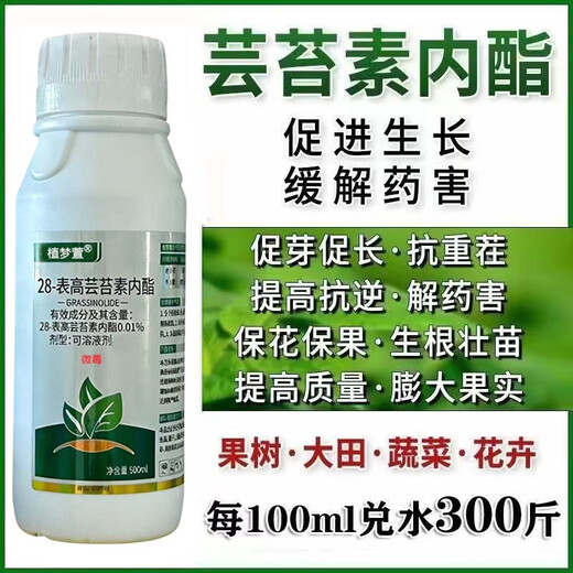 Genuine 28 epibrassinoids, internal lipids, rooting and strengthening seedlings, plants to regulate growth and increase yields, foliar fertilizers, pesticides, whole box wholesale, brassinoids 1000g