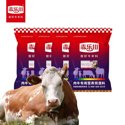 Chilechuan 5-mother Duokang basic empty pregnant breeding cow mother uses premixed feed and trace elements for breeding. 4 pieces of logistics need to be picked up when delivered to the county.