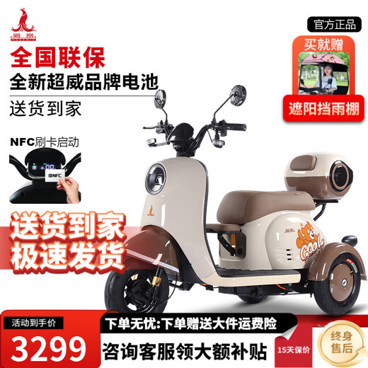 Phoenix Beetle electric vehicle tricycle small household electric motorcycle adult leisure three-wheeled small electric vehicle 800W+60V20A lead-acid + battery life about 42.5 kilometers
