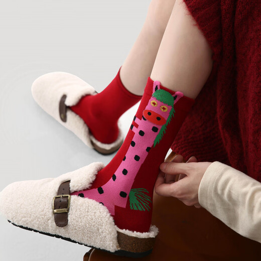 Aoyan Lai Horse Year Red Socks 2026 New Zodiac Year Mid-Tube Women's Socks Take the Lead