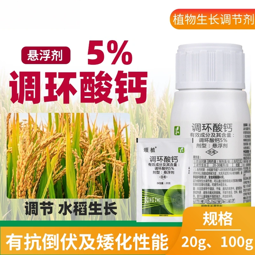 5% Prohexadione Calcium Suspension Controls Growth and Slow Fruit Control, Rice Regulator Pesticide 20g*1 Bag