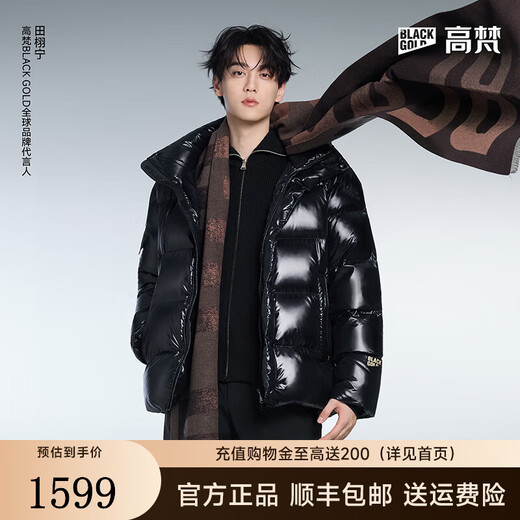 Gao Fan and Tian Xuning same style black gold goose down jacket Pioneer 5.0 five grid men's down jacket casual trendy bread jacket black L