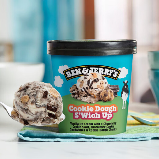 BEN & JERRY S United States Ben & Jerry's Ice Cream Vanilla Cookie Chocolate Vat Ice Cream 465ml Family Size Ice Cream