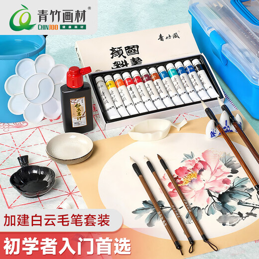 Green Bamboo Painting Materials (CHINJOO) Chinese Painting Pigments 5ml 12 Colors 14-piece Set Children's Ink Painting Box Single Pigment Primary School Students Entry-Level Chinese Painting Supplies Tools Full Set of Art Sketching with Brick Box