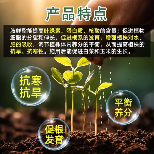 Quanfeng Pivot 8% Ammonium Acetate Citrate Plant Regulates Growth of Tomato Tomatoes Increases Ammonium Acetate Production 100g 40 Bottles Full Box 338