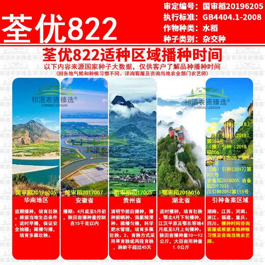 Wangyuan Xingquanyou 822 высокоурожайный и стабильный гибридный рис, устойчивый к полеганию, высокой температуре, твердый и устойчивый к удобрениям, высококачественный суперрис оптом Quanyou 822 5Jin Jin, равный 0,5 кг + средство для замачивания семян + мешок для замачивания семян