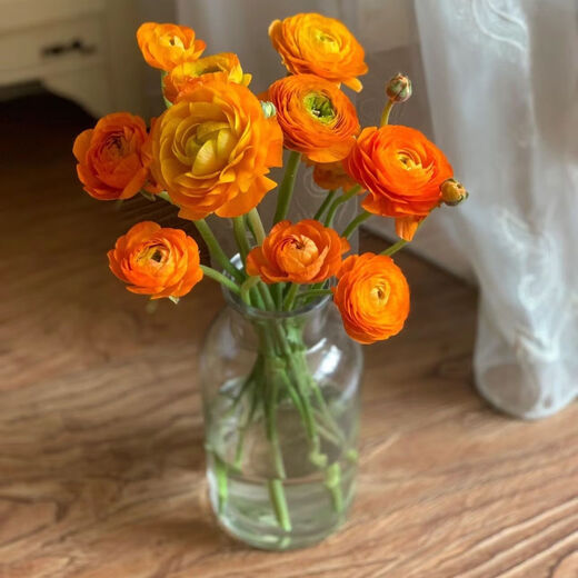 Peony Flowers Base Wholesale High-grade Peonies Fresh Cut Flowers Yunnan Fresh Flowers Bouquet Peonies Orange 10 Branches + Imported Preservative