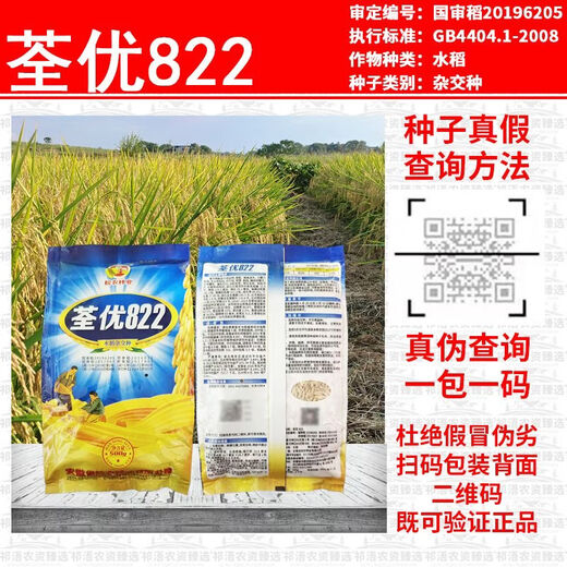Wangyuan Xingquanyou 822 высокоурожайный и стабильный гибридный рис, устойчивый к полеганию, высокой температуре, твердый и устойчивый к удобрениям, высококачественный суперрис оптом Quanyou 822 5Jin Jin, равный 0,5 кг + средство для замачивания семян + мешок для замачивания семян