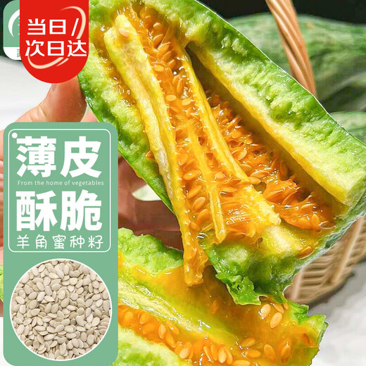 Shouhe croissant seed seedlings thin-skinned and crispy four-season fruit melon seeds Weifeng croissant seeds 30 pieces