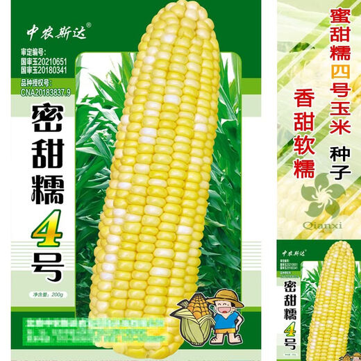 甜糯红玉米种子白彩黄甜粘苞米种南北方大田早熟玉米种子 蜜甜糯1号原装500克