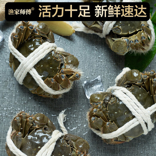 Live Crab Fisherman Master Hairy Crab Male 4.5-4.8 Female 3.5-3.8 Two 4 Pairs 8 Pieces Full Weight Fresh Crab Fresh Aquatic Gift Box