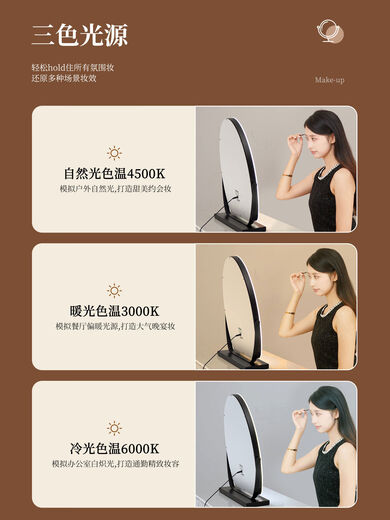 Desktop makeup mirror LED lighted dressing table mirror Internet celebrity light luxury bedroom dressing mirror intelligent fill-in light beauty mirror white 30*40CM plug-in model