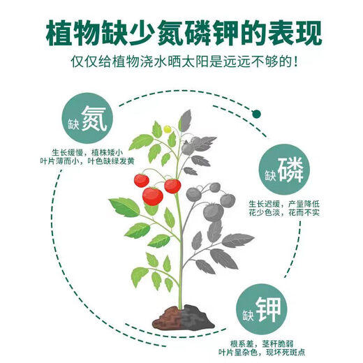 Compound fertilizer imported from Norway, water-soluble compound fertilizer for vegetable farming, 100 Jin Jin equals 0.5 kg, general compound fertilizer 100 Jin Jin equals 0.5 kg, fully water-soluble imported compound fertilizer (delivered in original packaging)