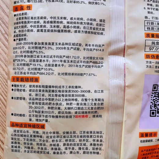 Asarum Denghai 605 corn seed corn seed encyclopedia red shaft big stick golden grain original drought-resistant and lodging Denghai 605 4000 grains original