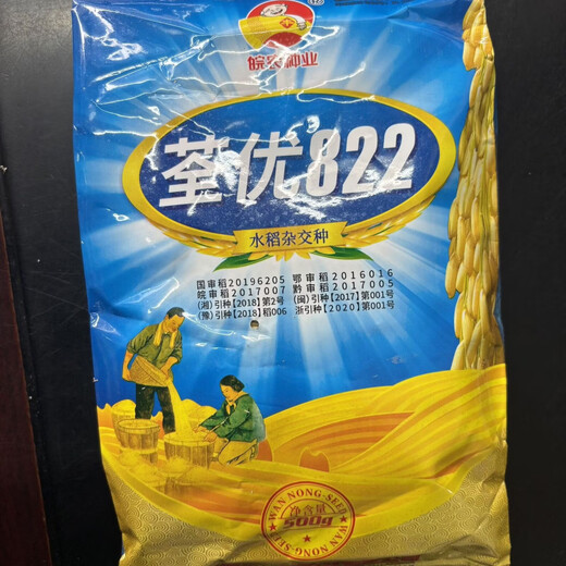 Quanyou 822 original hybrid high-yield rice seed rice disease-resistant medium rice hybrid seed high yield Quanyou 822 original one Jin Jin is equal to 0.5 kg